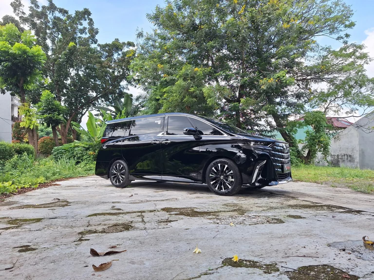 Sewa Toyota Alphard Cipayung untuk Tamu VIP dan Kebutuhan Perusahaan